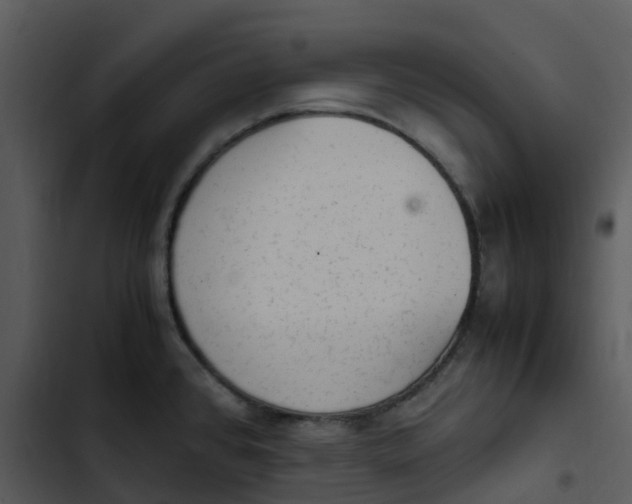 X0000102861384200809081256