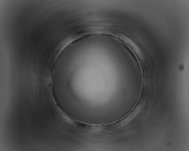 X0000102861385200809081256