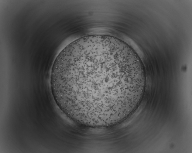 X0000102861386200809081256