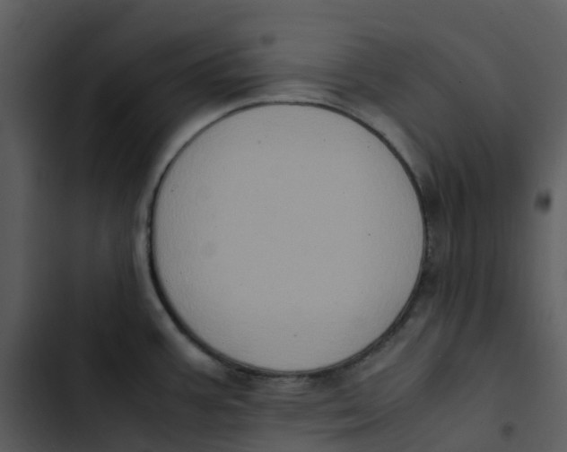 X0000102861387200809081256