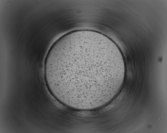 X0000102861388200809081256