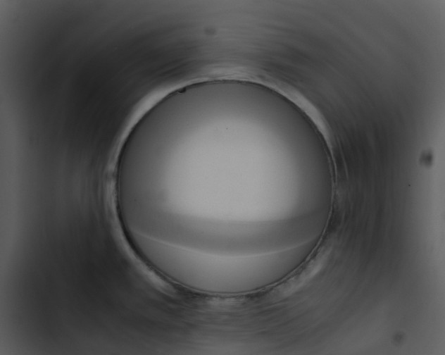 X0000102861389200809081256