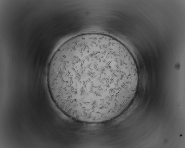 X0000102861390200809081256