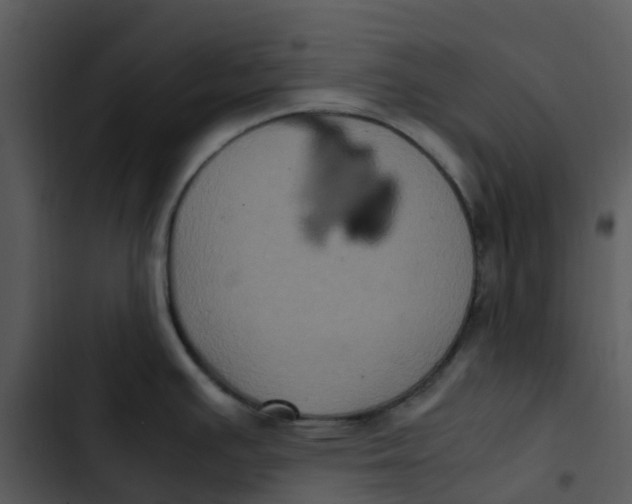 X0000102861391200809081256