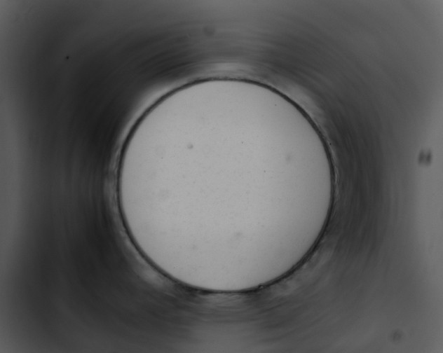 X0000102861392200809081256