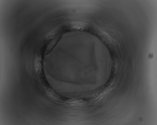 X0000102861394200809081256