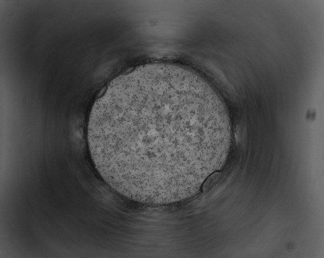 X0000102861396200809081256