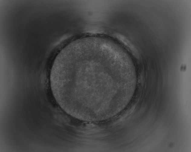 X0000102861398200809081256