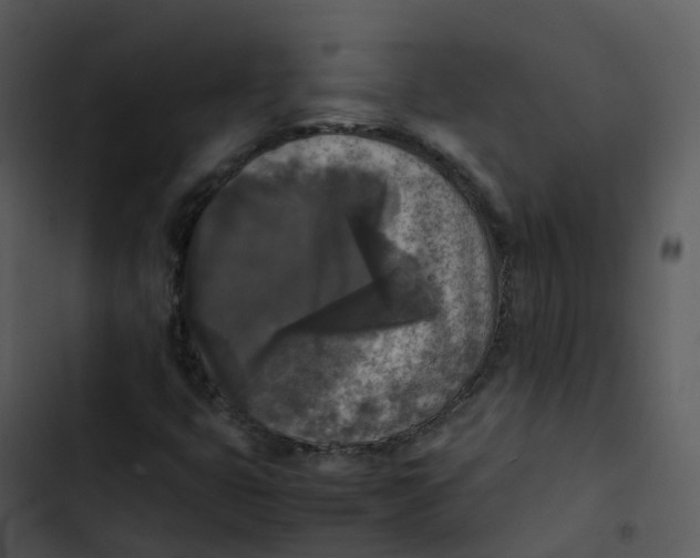 X0000102861399200809081256