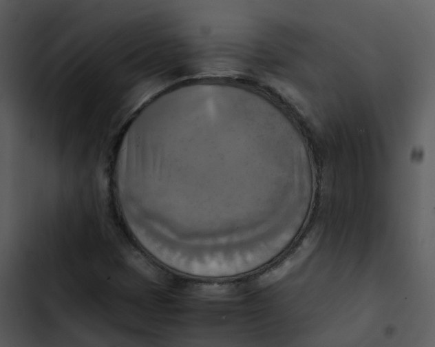 X0000102861401200809081256