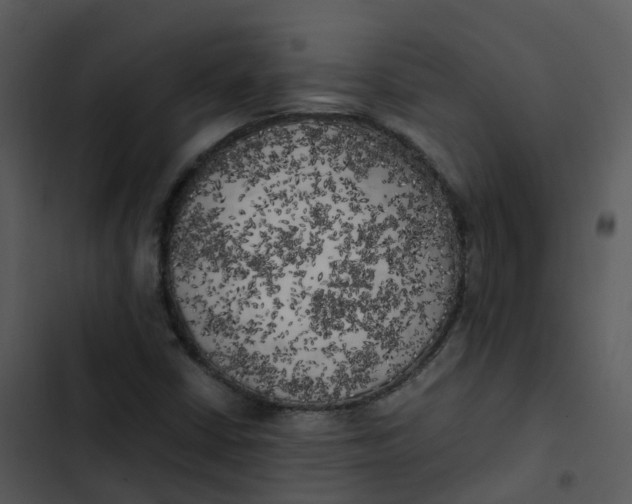 X0000102861402200809081256