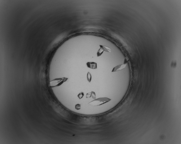 X0000102861403200809081256