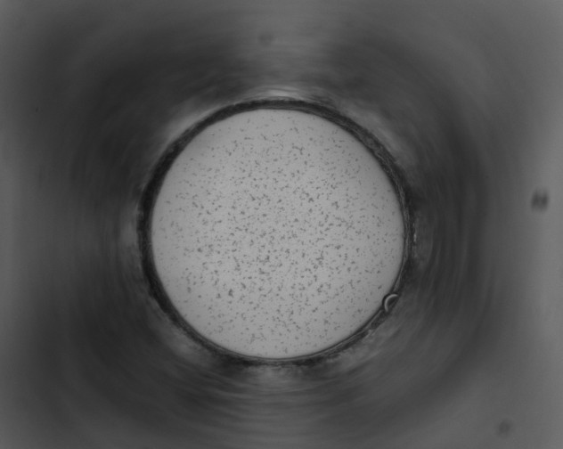 X0000102861404200809081256