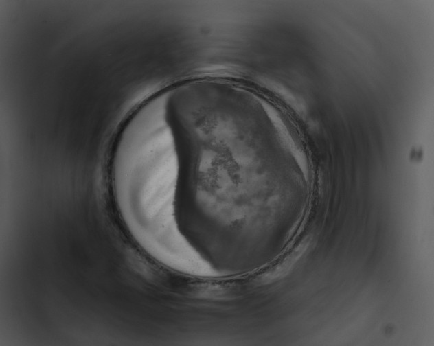 X0000102861405200809081256