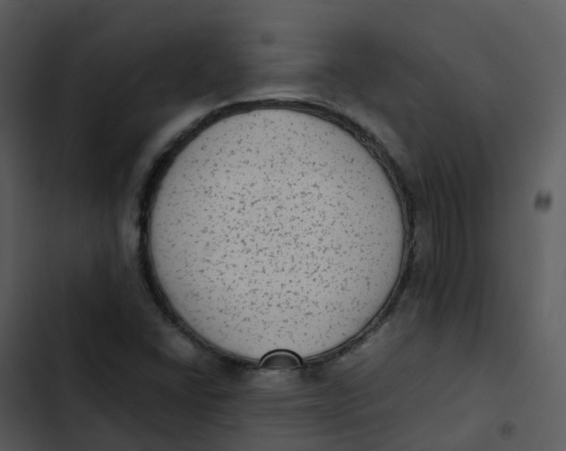 X0000102861406200809081256