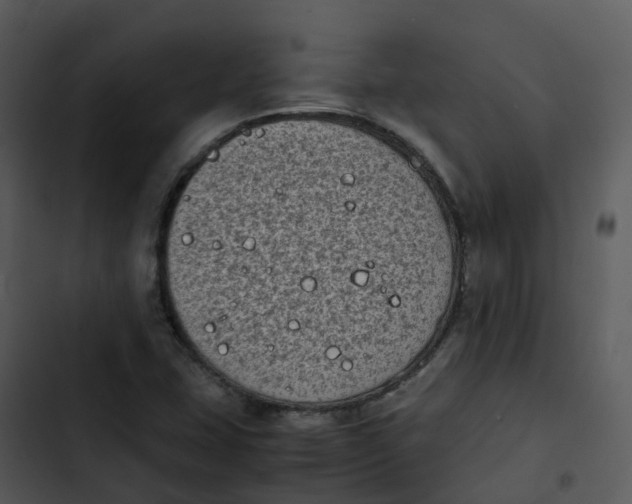 X0000102861407200809081256