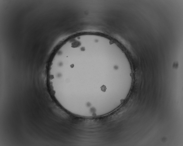 X0000102861408200809081256