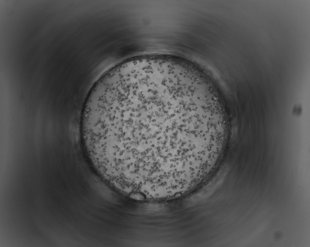 X0000102861409200809081256