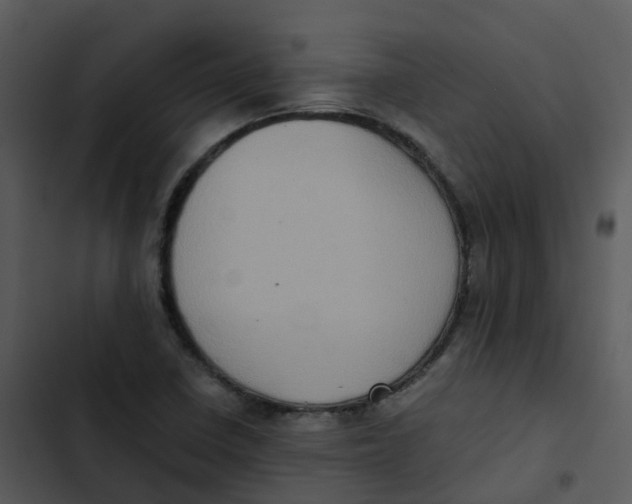 X0000102861410200809081256