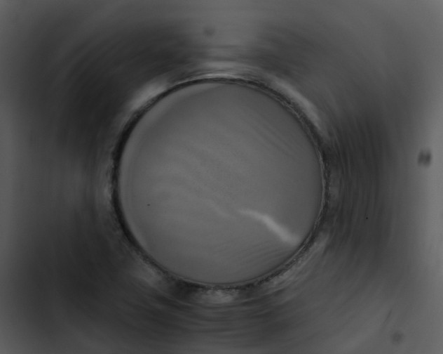 X0000102861411200809081256