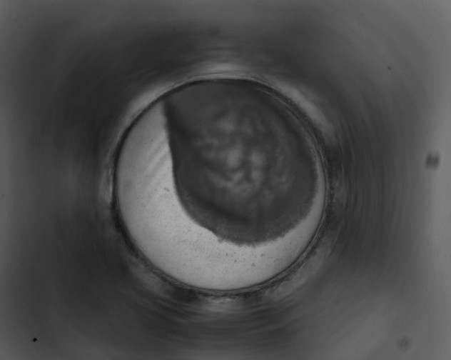 X0000102861413200809081256