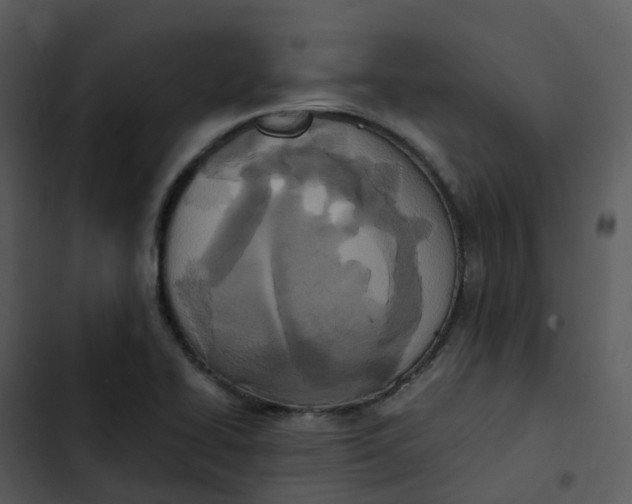 X0000102861414200809081256