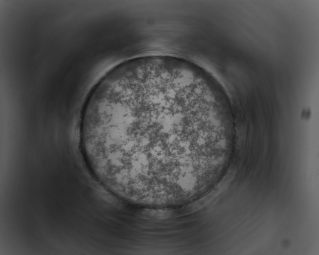 X0000102861415200809081256