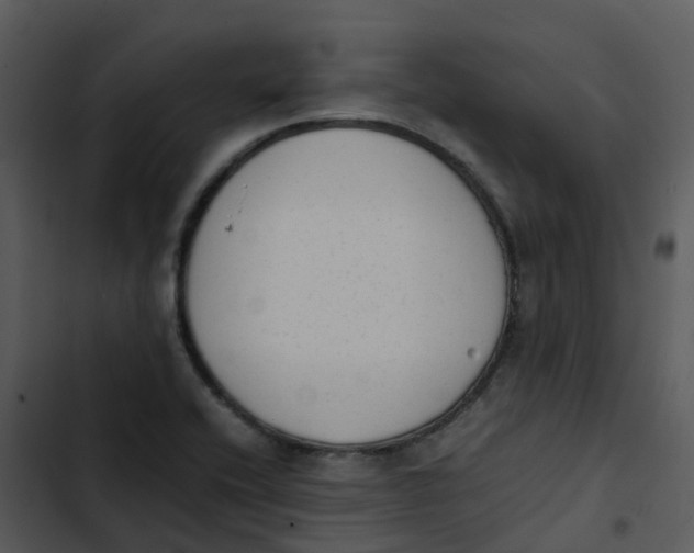 X0000102861416200809081256