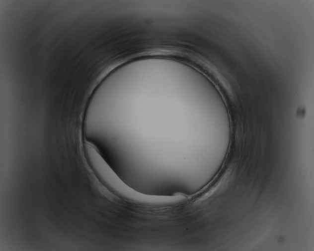 X0000102861417200809081256