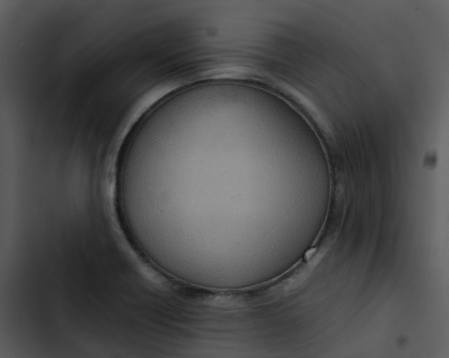 X0000102861418200809081256