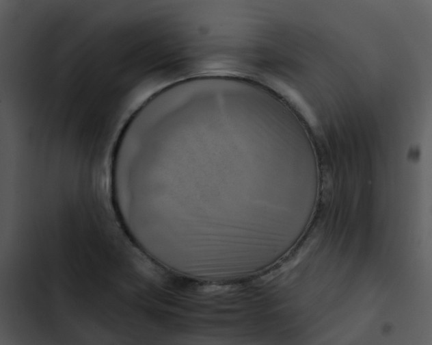 X0000102861419200809081256