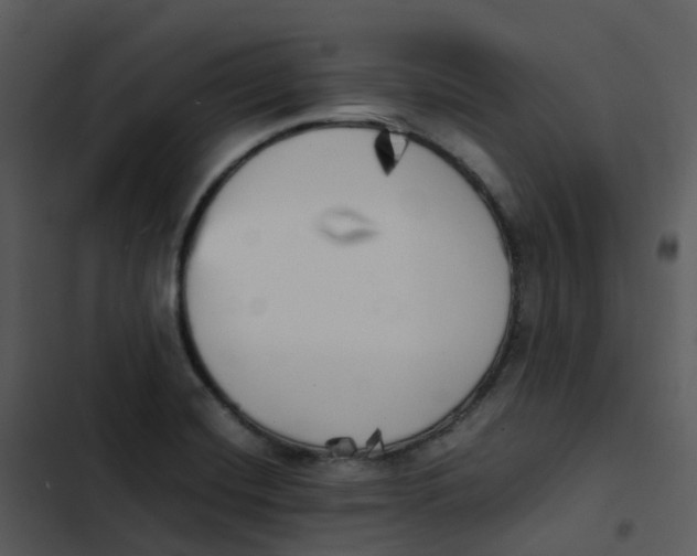 X0000102861420200809081256