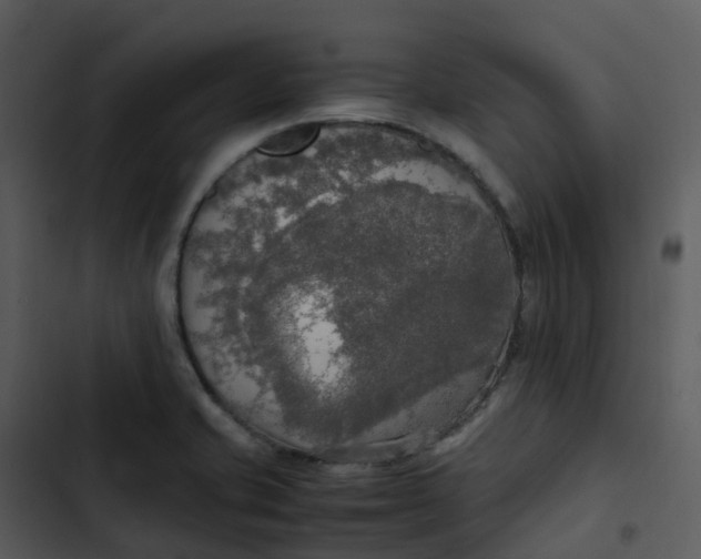 X0000102861421200809081256