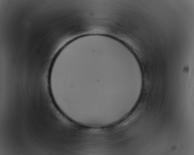 X0000102861422200809081256