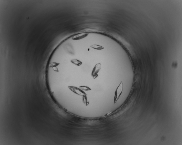 X0000102861423200809081256