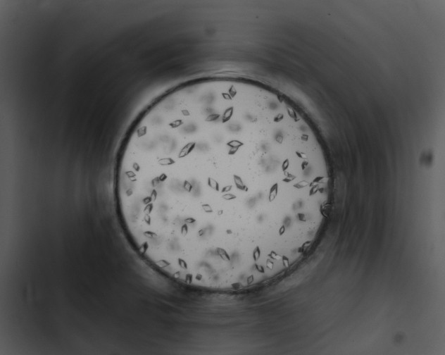 X0000102861424200809081256