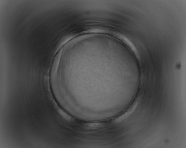 X0000102861425200809081256