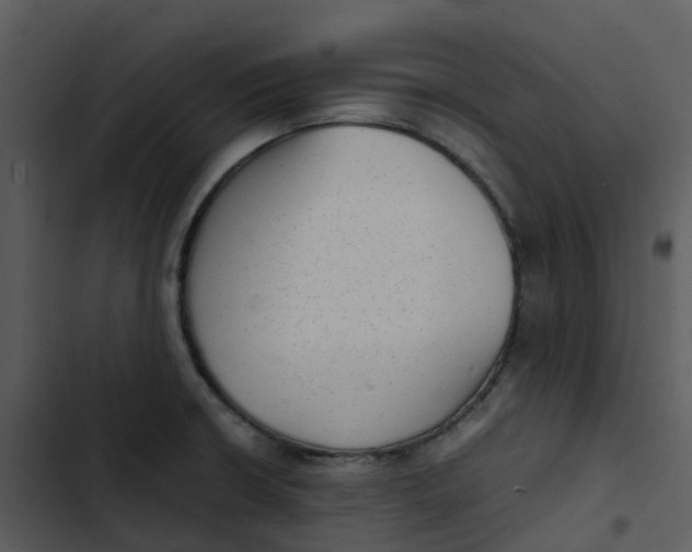 X0000102861426200809081256