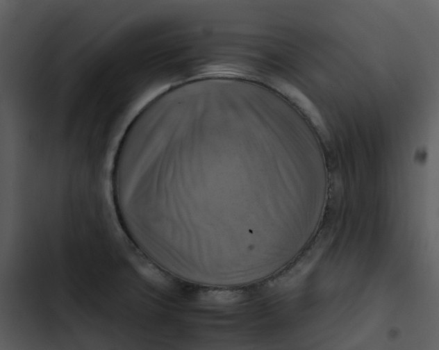 X0000102861427200809081256