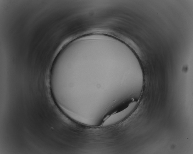 X0000102861428200809081256