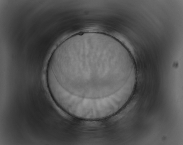 X0000102861429200809081256