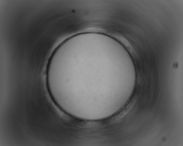 X0000102861430200809081256