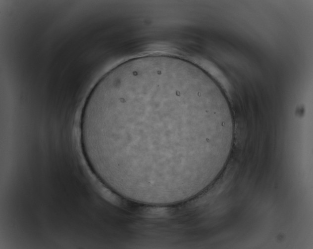 X0000102861431200809081256