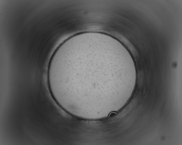 X0000102861432200809081256