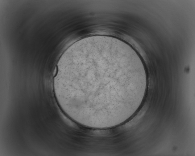 X0000102861433200809081256