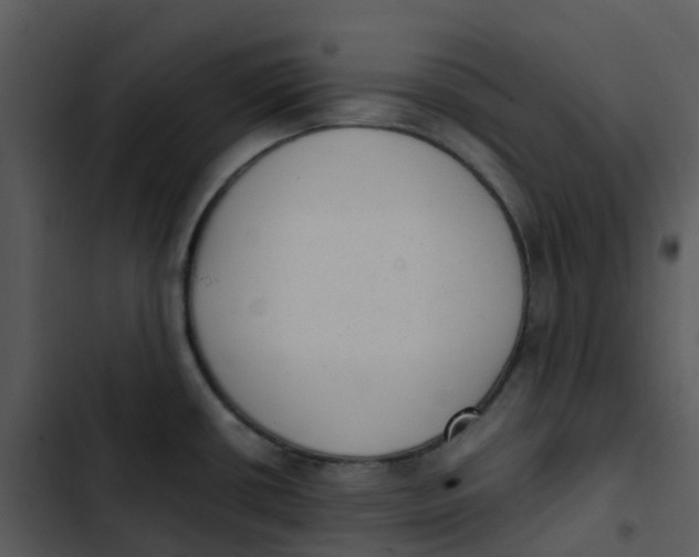 X0000102861434200809081256