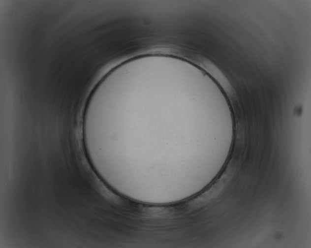 X0000102861436200809081256