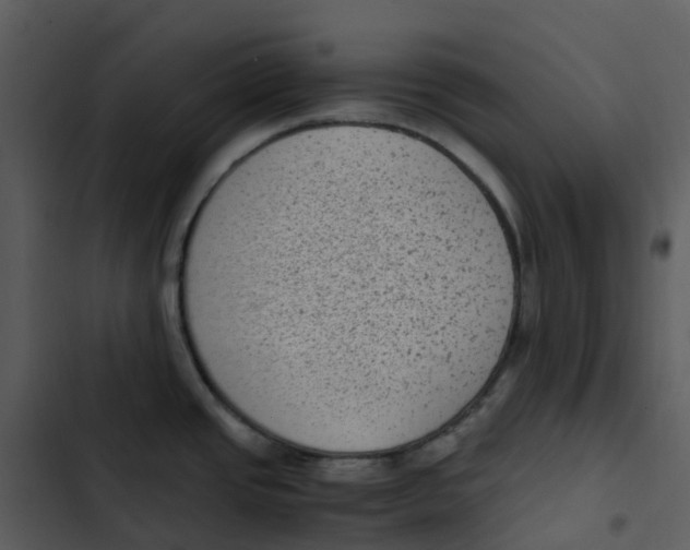 X0000102861437200809081256