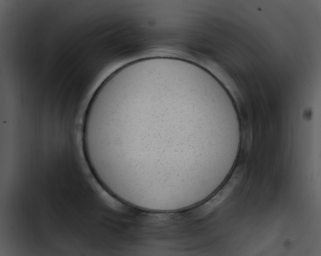 X0000102861438200809081256