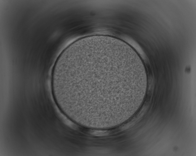 X0000102861439200809081256